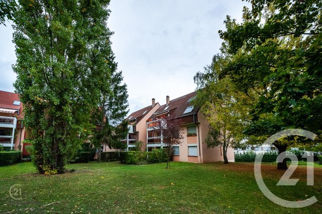 Appartement F5 &agrave; louer - 5 pi&egrave;ces - 102,04 m2 - Lingolsheim - 67 - ALSACE