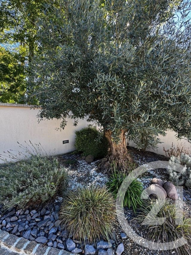 Maison à vendre - 7 pièces - 148,40 m2 - St Sauveur Sur Ecole - 77 - ILE-DE-FRANCE