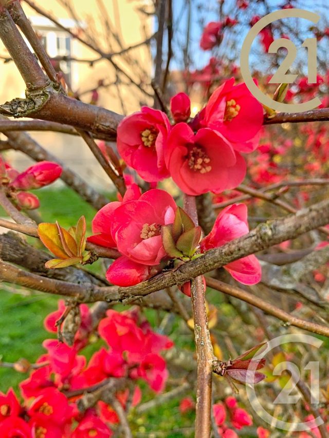 Maison &agrave; vendre - 5 pi&egrave;ces - 105,49 m2 - Ville St Jacques - 77 - ILE-DE-FRANCE