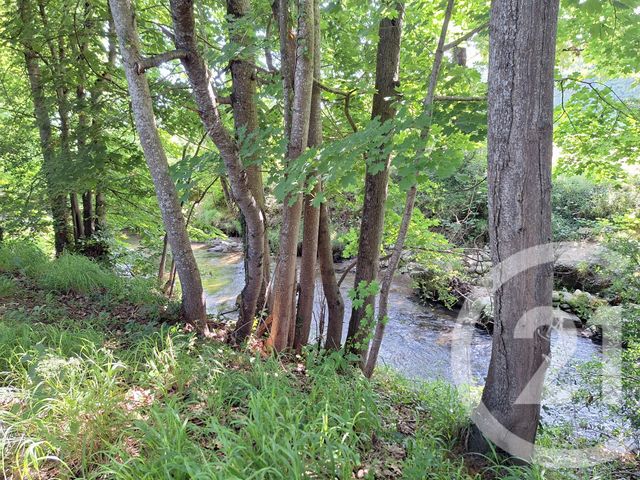 Maison &agrave; vendre - 11 pi&egrave;ces - 447 m2 - Laroque D Olmes - 09 - MIDI-PYRENEES