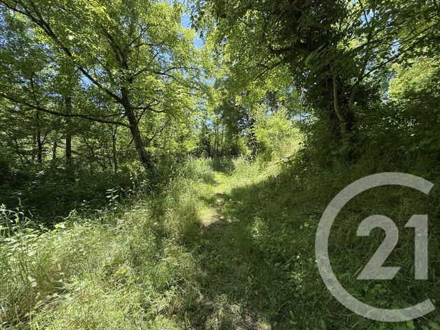 Maison &agrave; vendre - 3 pi&egrave;ces - 120 m2 - Limbrassac - 09 - MIDI-PYRENEES