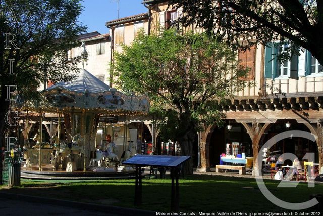 Terrain &agrave; vendre - 1500 m2 - Rieucros - 09 - MIDI-PYRENEES