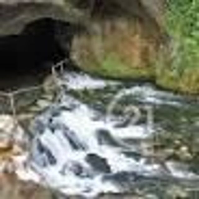 Terrain &agrave; vendre - 1500 m2 - Rieucros - 09 - MIDI-PYRENEES