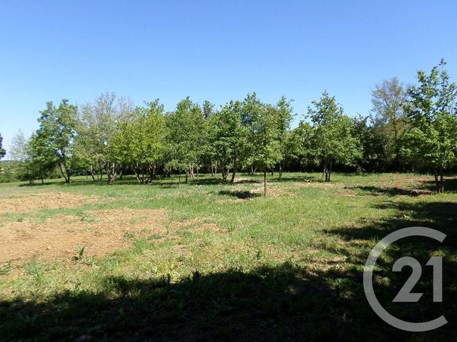 Maison à vendre - 9 pièces - 290,71 m2 - Lafage - 11 - LANGUEDOC-ROUSSILLON