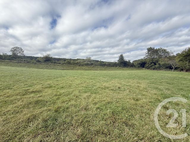 Terrain &agrave; vendre - 1500 m2 - Belloc - 09 - MIDI-PYRENEES