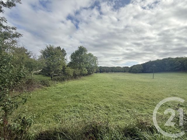Terrain &agrave; vendre - 1500 m2 - Belloc - 09 - MIDI-PYRENEES