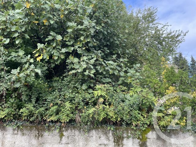 Maison &agrave; vendre - 5 pi&egrave;ces - 224,01 m2 - Ribouisse - 11 - LANGUEDOC-ROUSSILLON