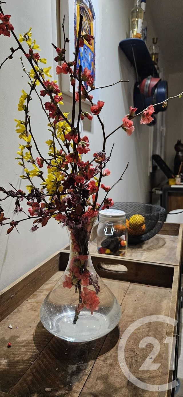 Maison &agrave; louer - 6 pi&egrave;ces - 195 m2 - Mirepoix - 09 - MIDI-PYRENEES