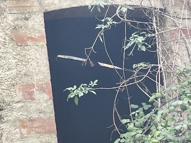 Divers &agrave; vendre - 1484 m2 - Montjardin - 11 - LANGUEDOC-ROUSSILLON