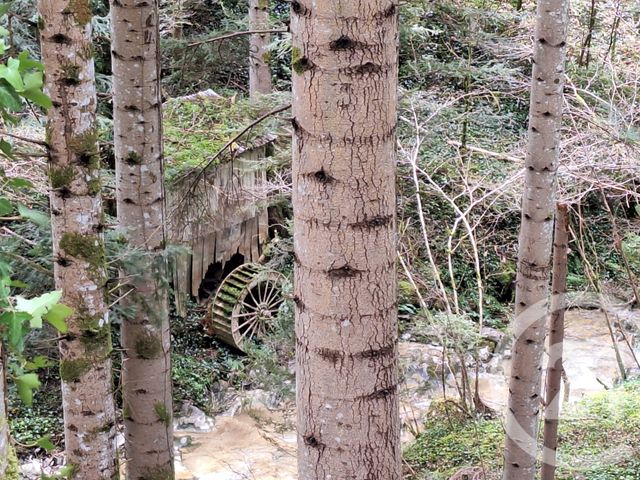 Maison &agrave; vendre - 4 pi&egrave;ces - 200 m2 - Belesta - 09 - MIDI-PYRENEES