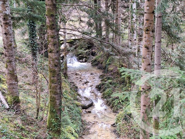 Maison &agrave; vendre - 4 pi&egrave;ces - 200 m2 - Belesta - 09 - MIDI-PYRENEES