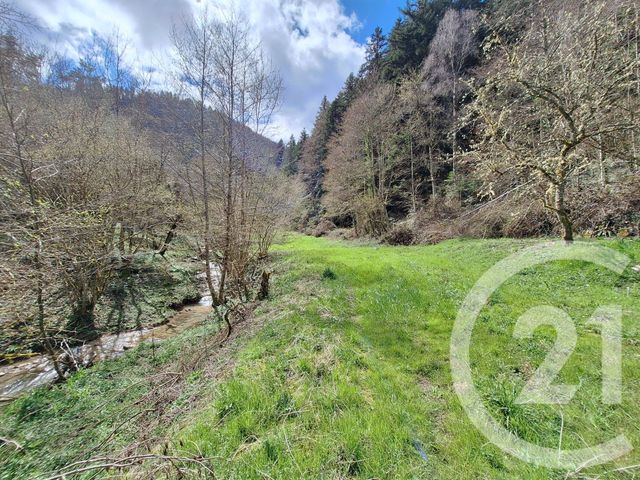 Maison &agrave; vendre - 4 pi&egrave;ces - 200 m2 - Belesta - 09 - MIDI-PYRENEES