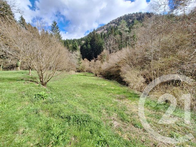 Maison &agrave; vendre - 4 pi&egrave;ces - 200 m2 - Belesta - 09 - MIDI-PYRENEES