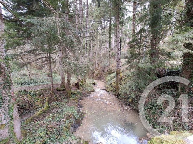 Maison &agrave; vendre - 4 pi&egrave;ces - 200 m2 - Belesta - 09 - MIDI-PYRENEES