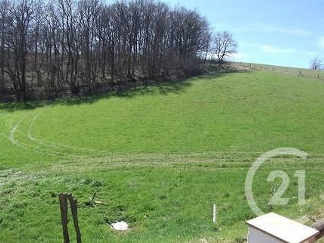 Maison &agrave; louer - 4 pi&egrave;ces - 96 m2 - Mirepoix - 09 - MIDI-PYRENEES