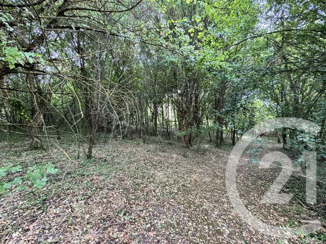 Maison &agrave; vendre - 5 pi&egrave;ces - 132 m2 - Courtauly - 11 - LANGUEDOC-ROUSSILLON