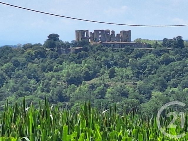 Terrain &agrave; vendre - 10044 m2 - Treziers - 11 - LANGUEDOC-ROUSSILLON