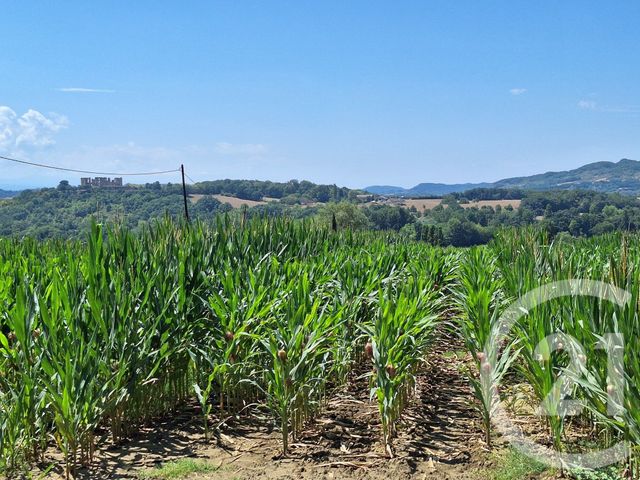 Terrain &agrave; vendre - 10044 m2 - Treziers - 11 - LANGUEDOC-ROUSSILLON