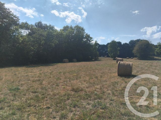 Terrain &agrave; vendre - 10620 m2 - Tabre - 09 - MIDI-PYRENEES