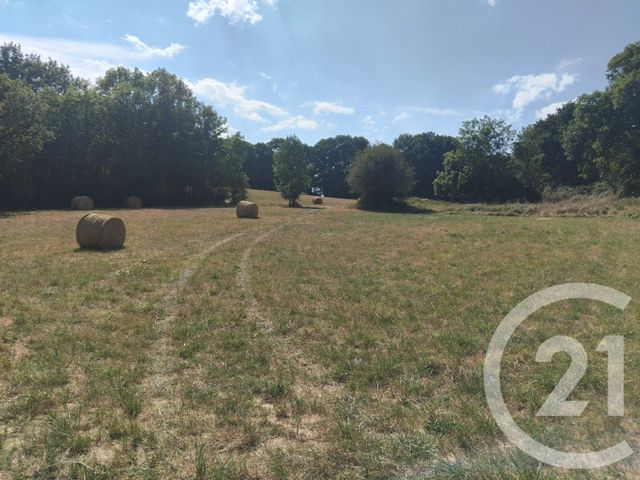 Terrain &agrave; vendre - 10620 m2 - Tabre - 09 - MIDI-PYRENEES