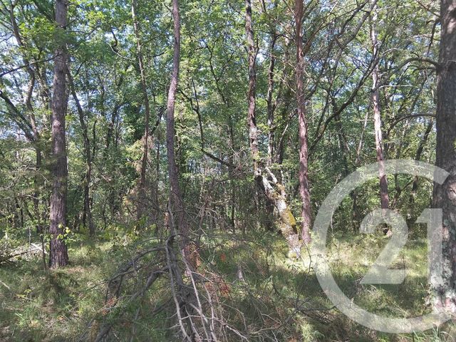 Terrain &agrave; vendre - 10620 m2 - Tabre - 09 - MIDI-PYRENEES
