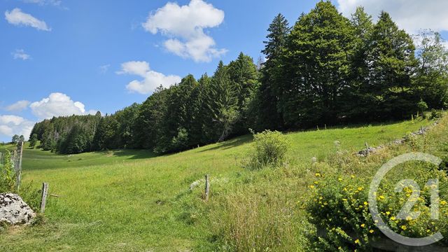 terrain - CHAUX NEUVE - 25