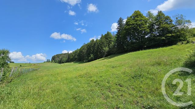 Terrain &agrave; vendre - 7143 m2 - Chaux Neuve - 25 - FRANCHE-COMTE