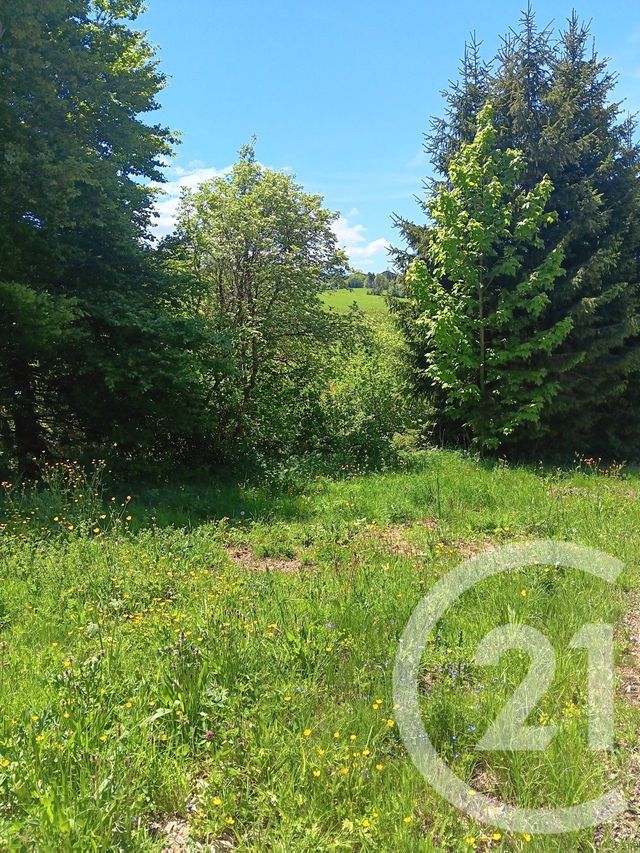 Terrain &agrave; vendre - 636 m2 - Metabief - 25 - FRANCHE-COMTE