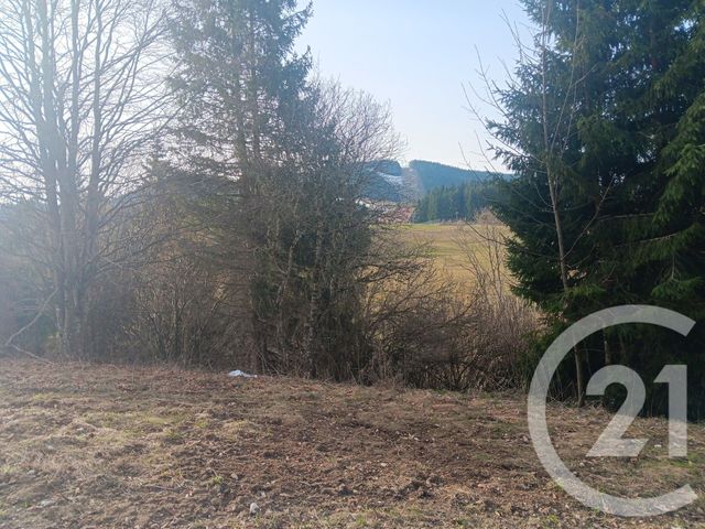 terrain - METABIEF - 25