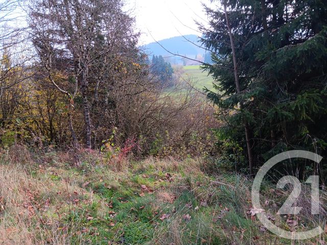 Terrain &agrave; vendre - 636 m2 - Metabief - 25 - FRANCHE-COMTE
