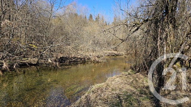 Terrain &agrave; vendre - 991 m2 - Vaux Et Chantegrue - 25 - FRANCHE-COMTE