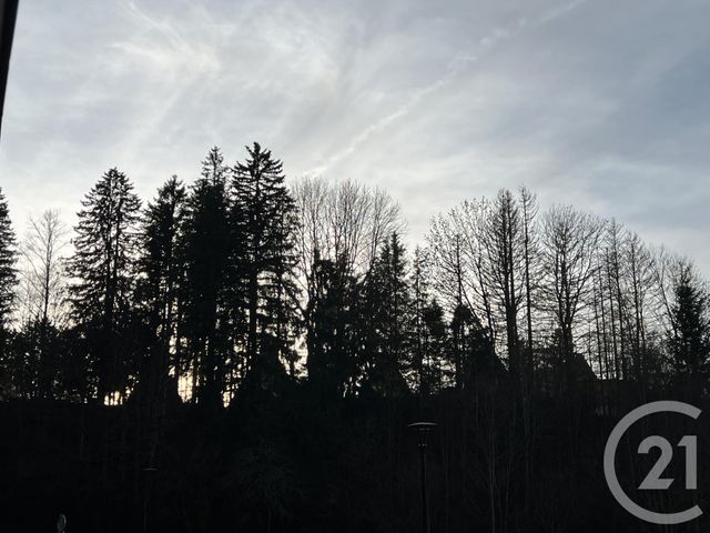 Appartement Studio Cabine à vendre - 1 pièce - 26,44 m2 - Metabief - 25 - FRANCHE-COMTE