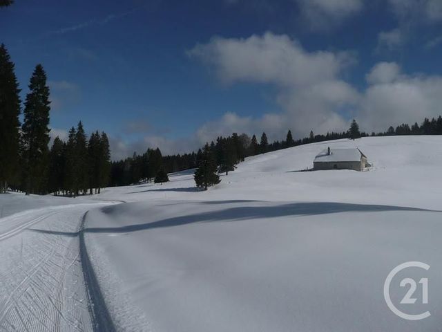 Appartement F1 &agrave; louer - 2 pi&egrave;ces - 21,20 m2 - Mouthe - 25 - FRANCHE-COMTE