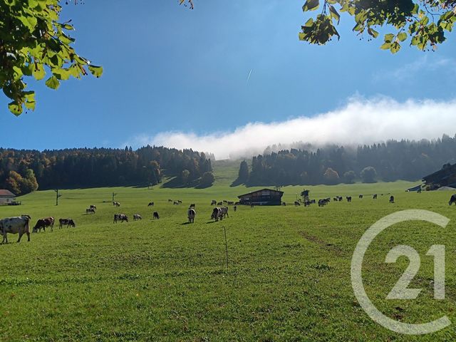 Maison à vendre - 7 pièces - 145 m2 - Jougne - 25 - FRANCHE-COMTE