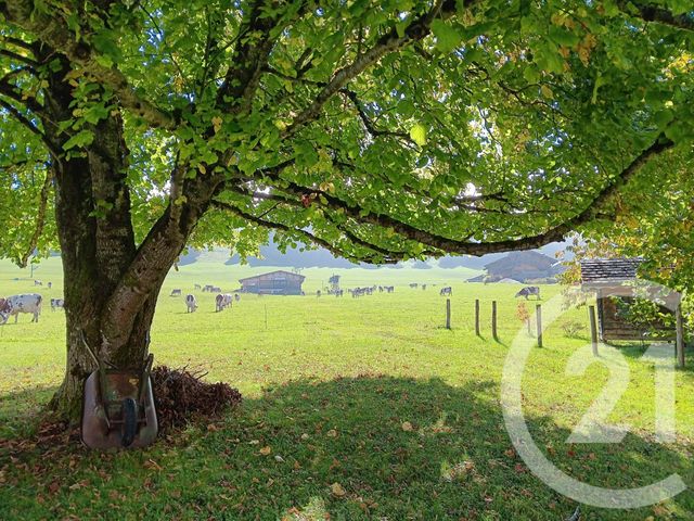 Maison à vendre - 7 pièces - 145 m2 - Jougne - 25 - FRANCHE-COMTE