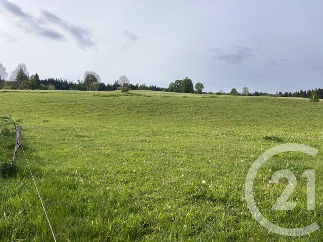 appartement - LONGEVILLES MONT D OR - 25