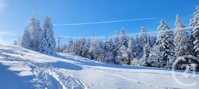 Appartement F1 &agrave; vendre - 2 pi&egrave;ces - 37,89 m2 - Metabief - 25 - FRANCHE-COMTE