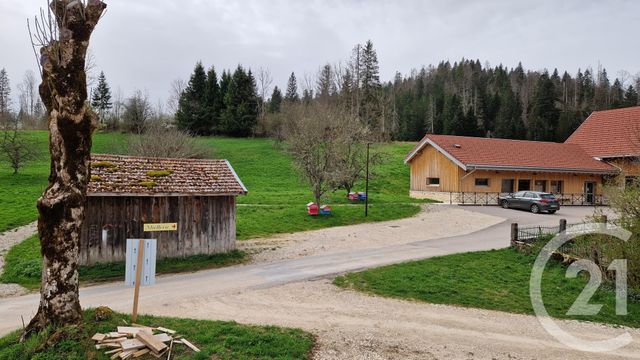 Appartement F3 &agrave; louer - 3 pi&egrave;ces - 71,35 m2 - Labergement Ste Marie - 25 - FRANCHE-COMTE