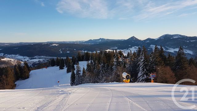 Appartement F1 &agrave; vendre - 2 pi&egrave;ces - 15,58 m2 - Metabief - 25 - FRANCHE-COMTE