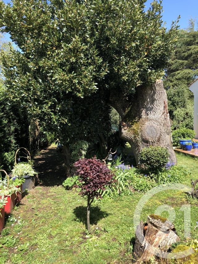 Maison &agrave; louer - 5 pi&egrave;ces - 135,13 m2 - La Roche Sur Yon - 85 - PAYS-DE-LOIRE