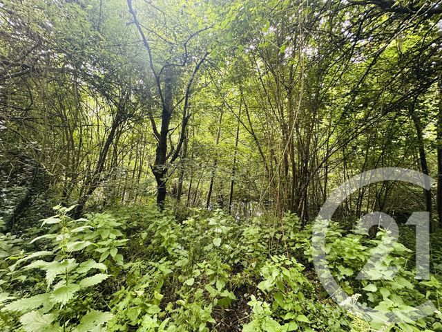 Maison &agrave; vendre - 8 pi&egrave;ces - 210 m2 - Falaise - 14 - BASSE-NORMANDIE