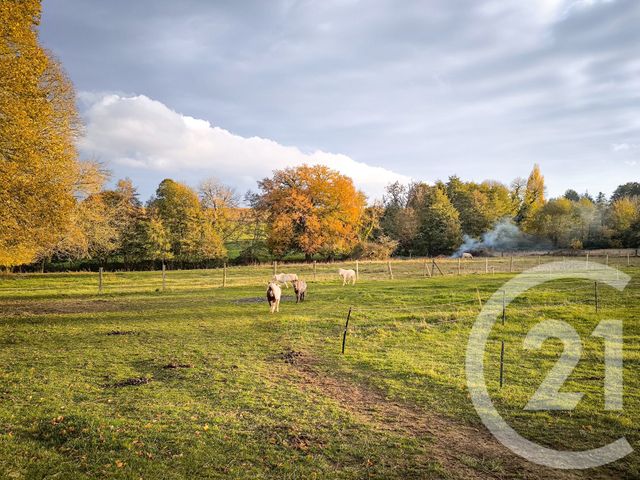 Maison &agrave; vendre - 6 pi&egrave;ces - 250 m2 - Falaise - 14 - BASSE-NORMANDIE