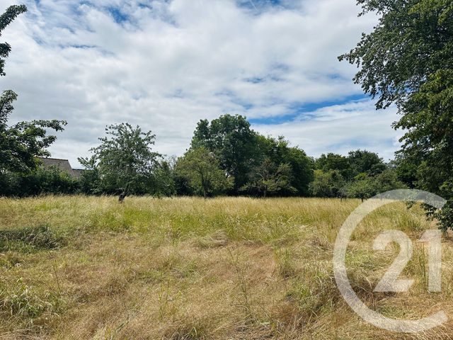 Terrain &agrave; vendre - 4181 m2 - Morteaux Couliboeuf - 14 - BASSE-NORMANDIE