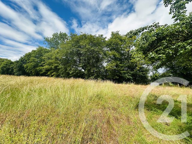 Terrain &agrave; vendre - 4181 m2 - Morteaux Couliboeuf - 14 - BASSE-NORMANDIE