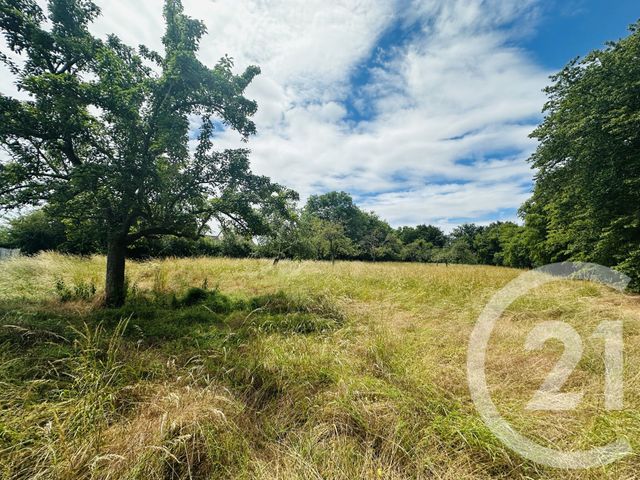 Terrain &agrave; vendre - 4181 m2 - Morteaux Couliboeuf - 14 - BASSE-NORMANDIE