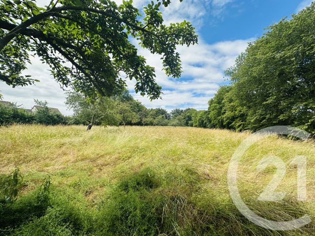 Terrain &agrave; vendre - 4181 m2 - Morteaux Couliboeuf - 14 - BASSE-NORMANDIE