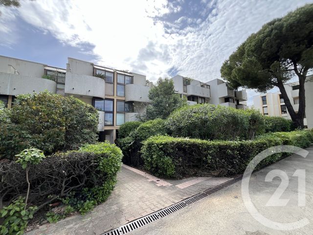 appartement - MONTPELLIER - 34