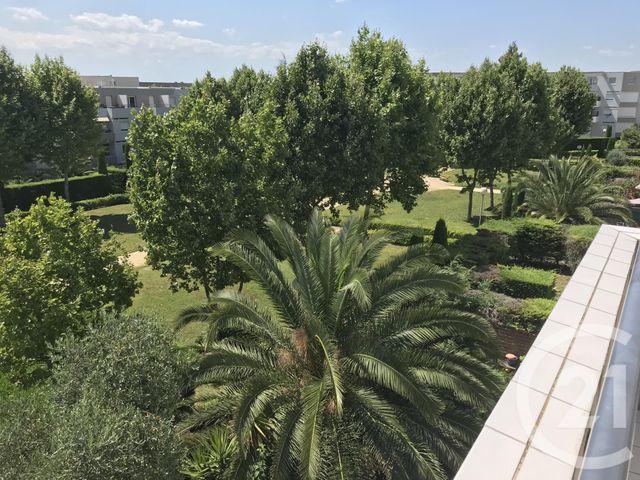 Appartement F2 &agrave; louer - 2 pi&egrave;ces - 32,84 m2 - Montpellier - 34 - LANGUEDOC-ROUSSILLON