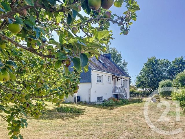 maison - ST GILDAS DE RHUYS - 56