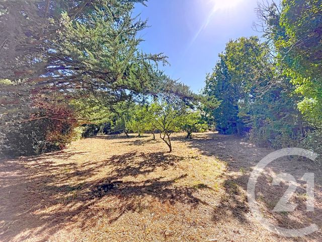 terrain - ST GILDAS DE RHUYS - 56